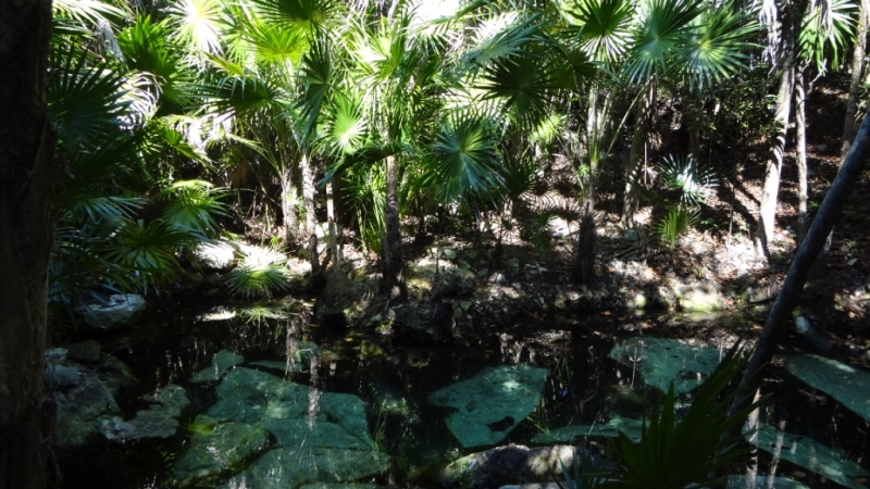 Путешествие по Мексике (март 2014 г.)