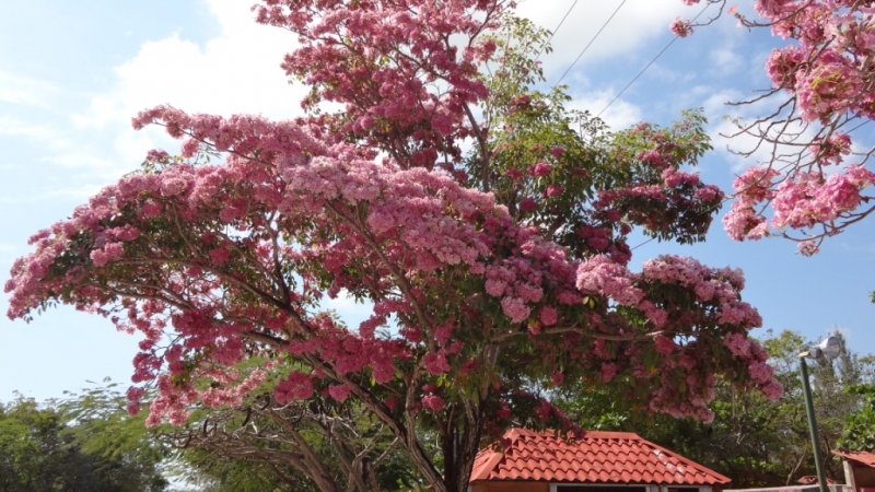 Путешествие по Мексике (март 2014 г.)