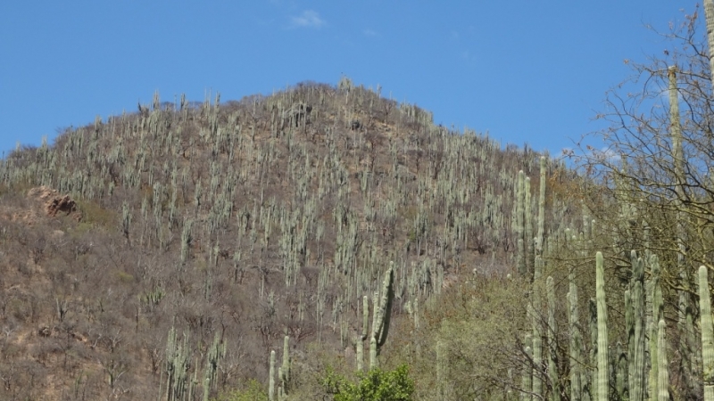 Путешествие по Мексике (март 2014 г.)