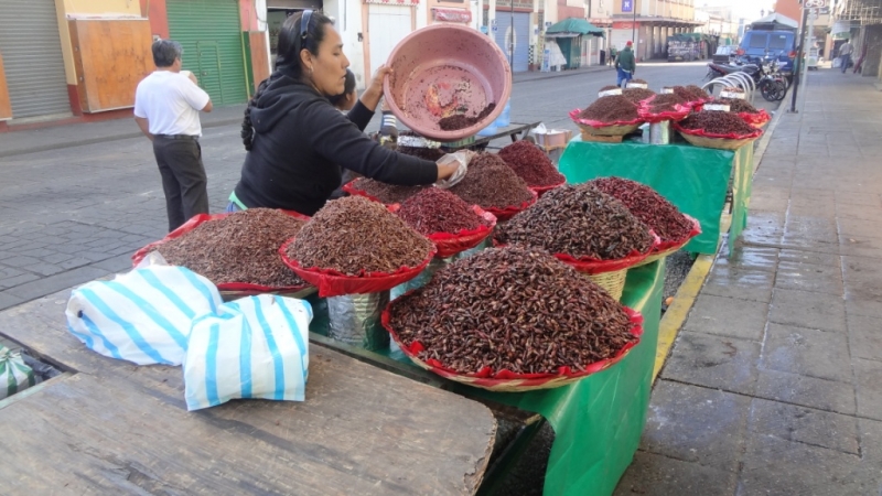 Путешествие по Мексике (март 2014 г.)