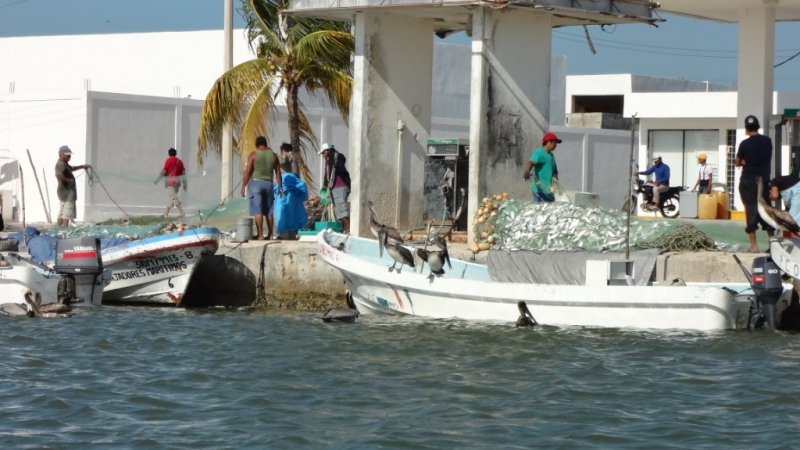 Путешествие по Мексике (март 2014 г.)