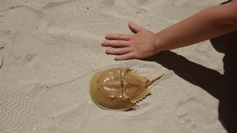 Путешествие по Мексике (март 2014 г.)