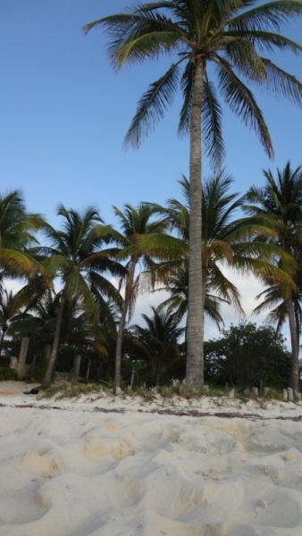 Путешествие по Мексике (март 2014 г.)