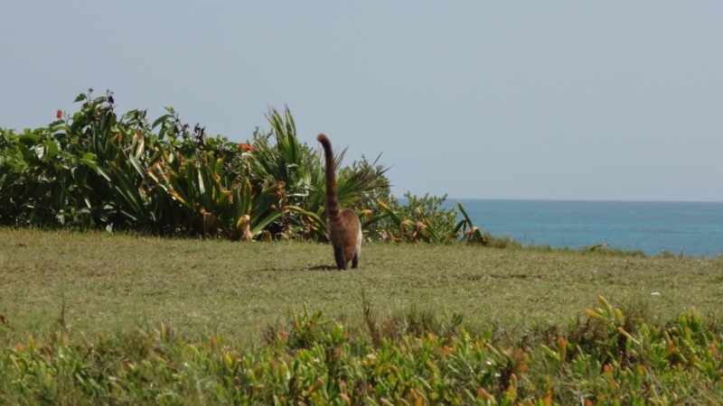 Путешествие по Мексике (март 2014 г.)