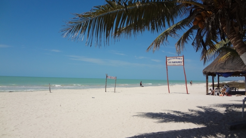 Путешествие по Мексике (март 2014 г.)