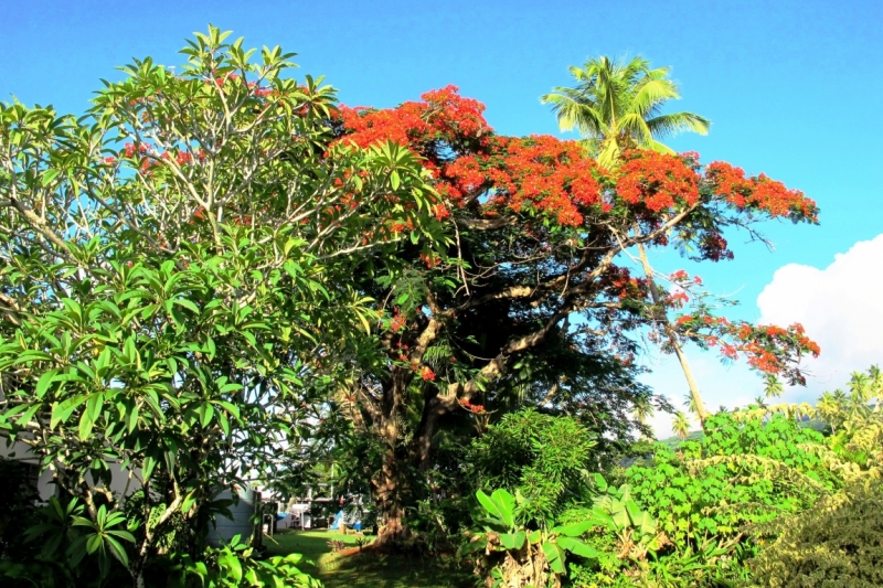 Фиджи – место, где начинается Рай