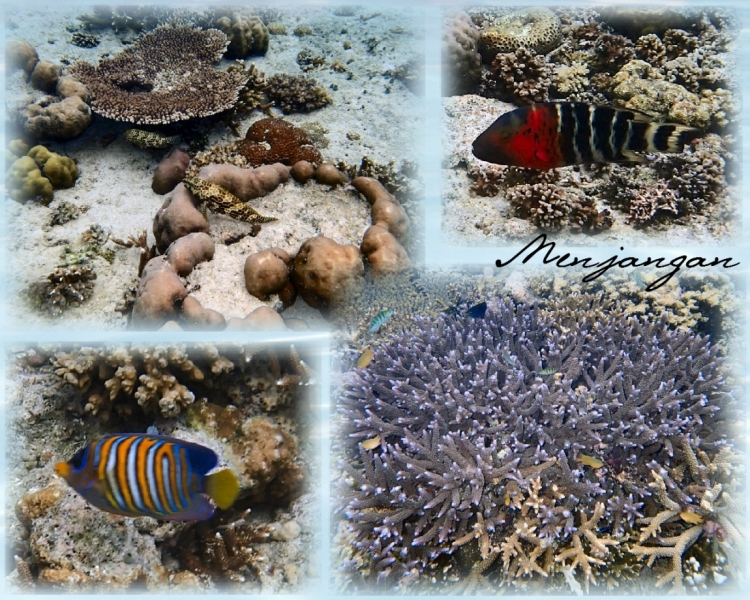 Менджанган