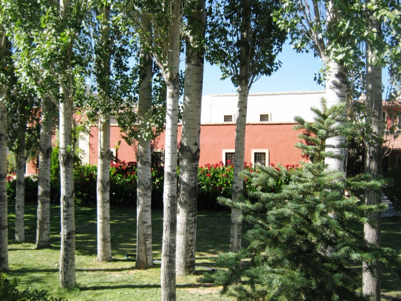 Каппадокия. В гостях у сказки и путешествие в небесах