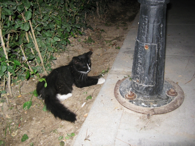 Каппадокия. В гостях у сказки и путешествие в небесах