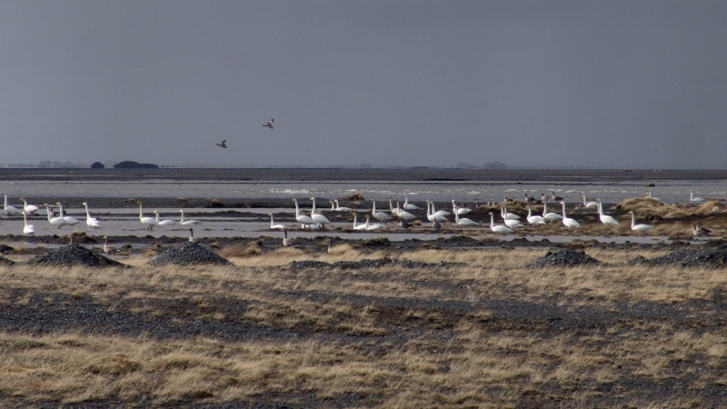 Исландия в апреле.