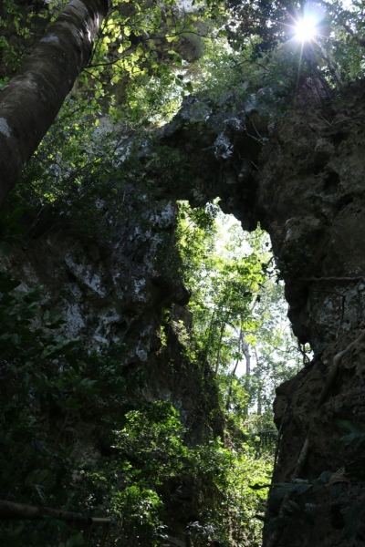 Добиваем Палаван (+Tabon Caves) 1 часть-наземная