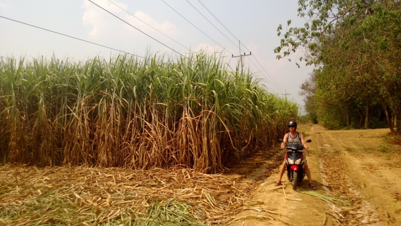 Банкок-Краби. Банкок-Канчанабури-Аюттая-Краби