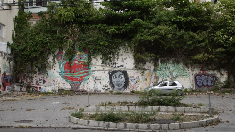 Бразилия, Боливия и другая Америка - март 2014