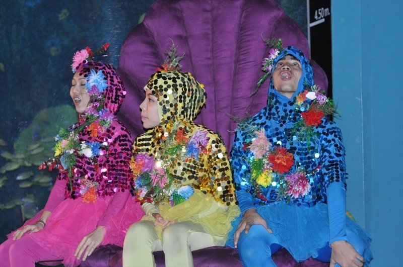 Бангкок, Сием Риеп, Рейли (2013)