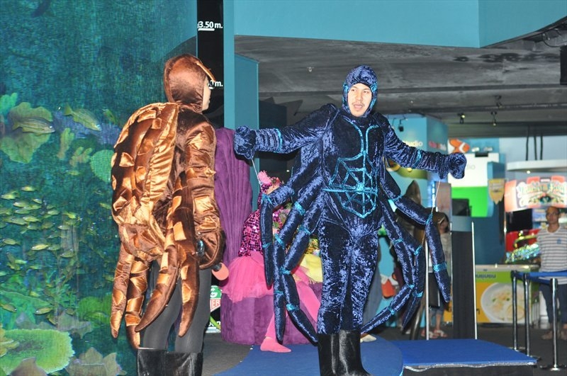 Бангкок, Сием Риеп, Рейли (2013)