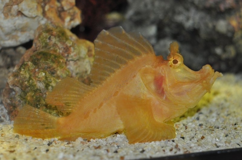 Бангкок, Сием Риеп, Рейли (2013)