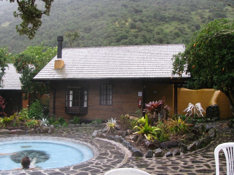 Papayacta1