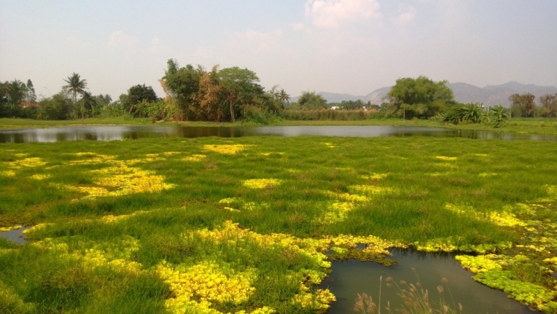 Банкок-Краби. Банкок-Канчанабури-Аюттая-Краби