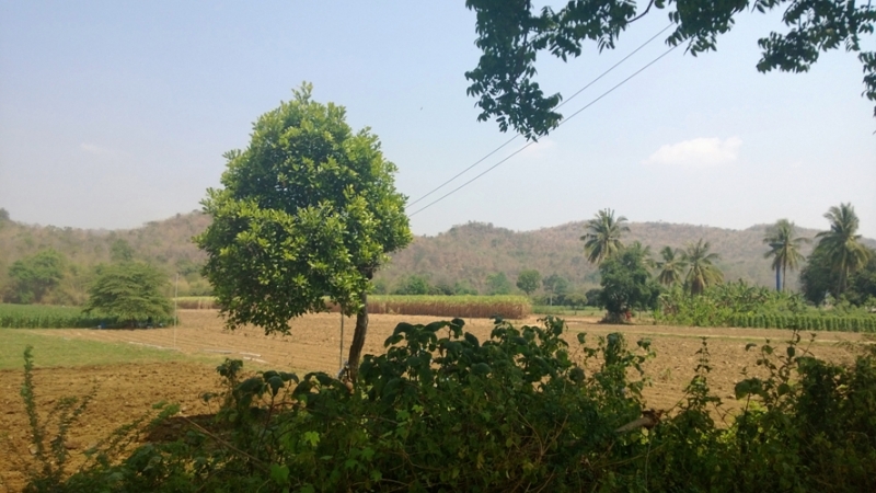 Банкок-Краби. Банкок-Канчанабури-Аюттая-Краби