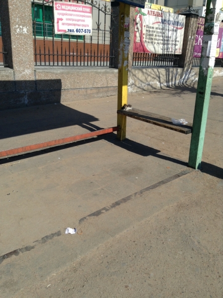 Поговорим о кошках 28