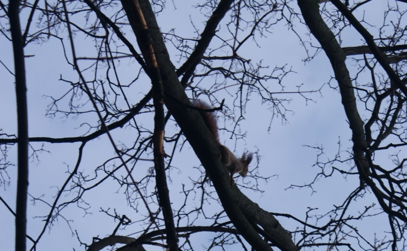 На авто из Питера в Австрию и Венгрию. Много фото!
