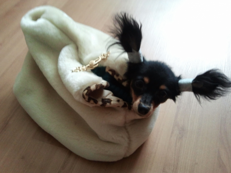 Братья наши меньшие, у кого кто - 2.