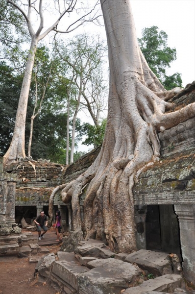 Бангкок, Сием Риеп, Рейли (2013)