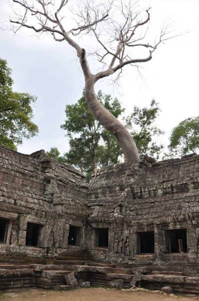 Бангкок, Сием Риеп, Рейли (2013)