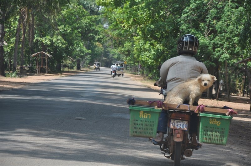 Бангкок, Сием Риеп, Рейли (2013)
