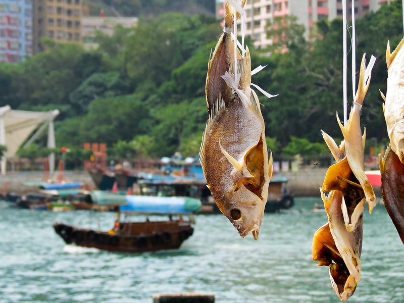 Полет пчелы вокруг вяленой рыбы в бухте Абердин (UPD)