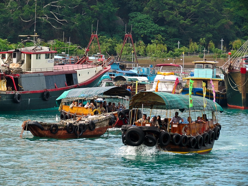 Полет пчелы вокруг вяленой рыбы в бухте Абердин (UPD)
