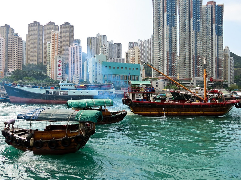 Полет пчелы вокруг вяленой рыбы в бухте Абердин (UPD)