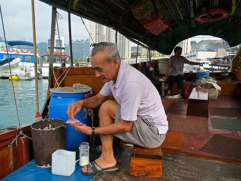 Полет пчелы вокруг вяленой рыбы в бухте Абердин (UPD)