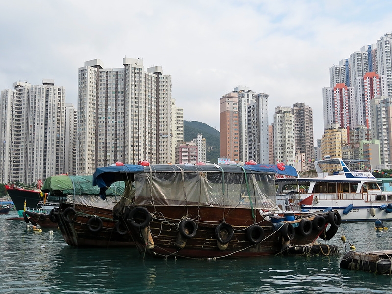 Полет пчелы вокруг вяленой рыбы в бухте Абердин (UPD)