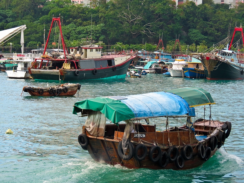 Полет пчелы вокруг вяленой рыбы в бухте Абердин (UPD)