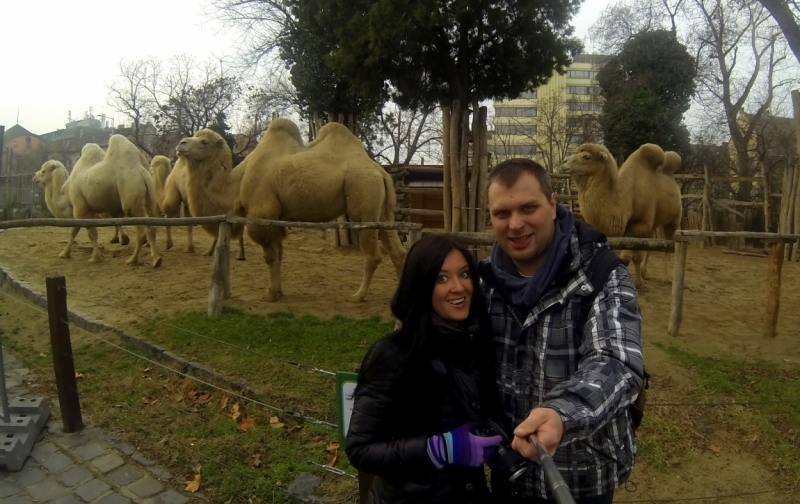 На авто из Питера в Австрию и Венгрию. Много фото!