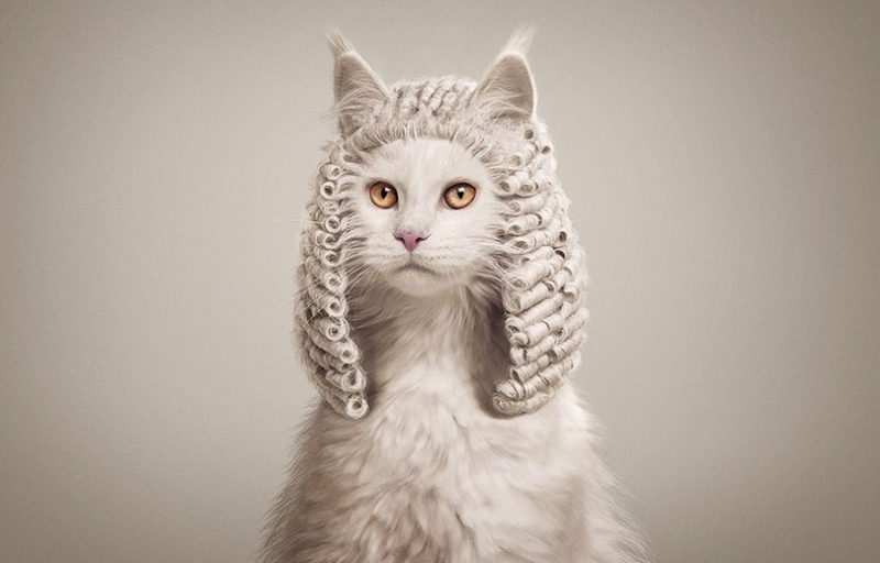 Поговорим о кошках 28