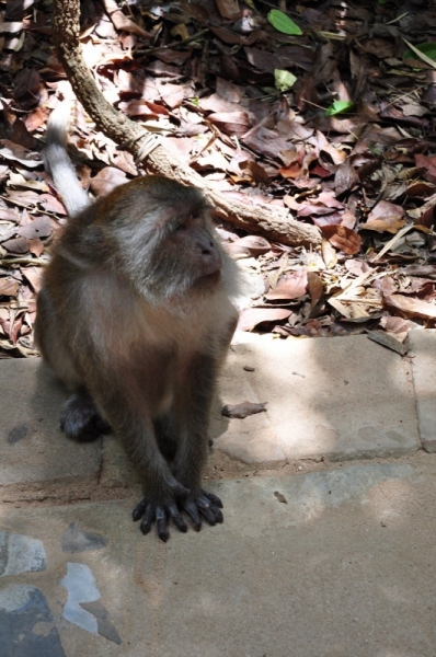 Бангкок, Сием Риеп, Рейли (2013)