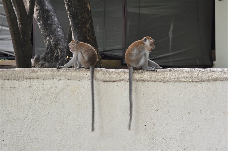 Бангкок, Сием Риеп, Рейли (2013)