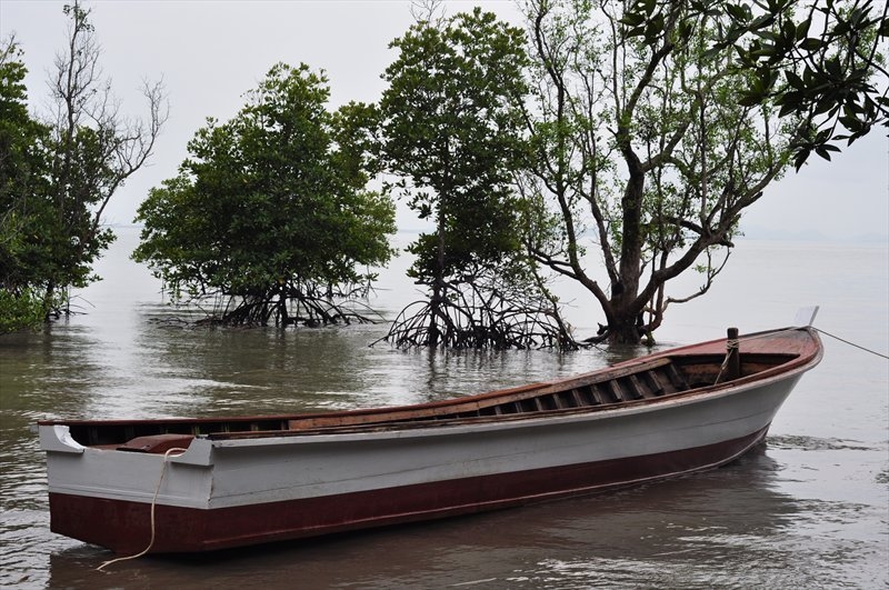 Бангкок, Сием Риеп, Рейли (2013)