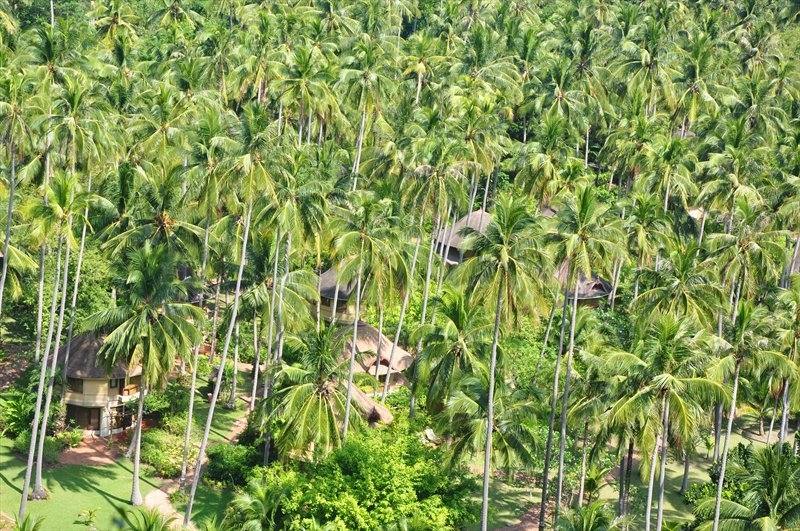 Бангкок, Сием Риеп, Рейли (2013)