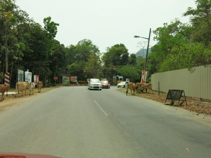 Пинанг-Лангкави-Кучинг - сравнительный анализ (часть2).