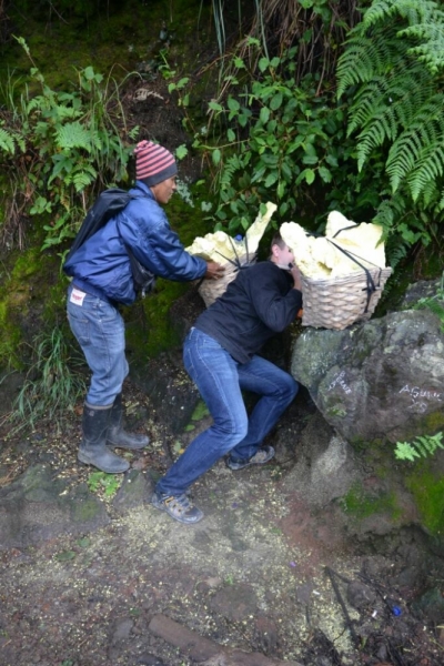 «Полет принесет удачу!» или Путешествие по островам Индонезии (Бали и Восточная Ява)