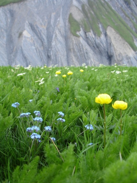 Французские Альпы летом: plateau des Emparis, рай на земле.