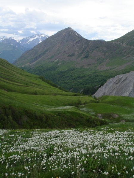 Французские Альпы летом: plateau des Emparis, рай на земле.