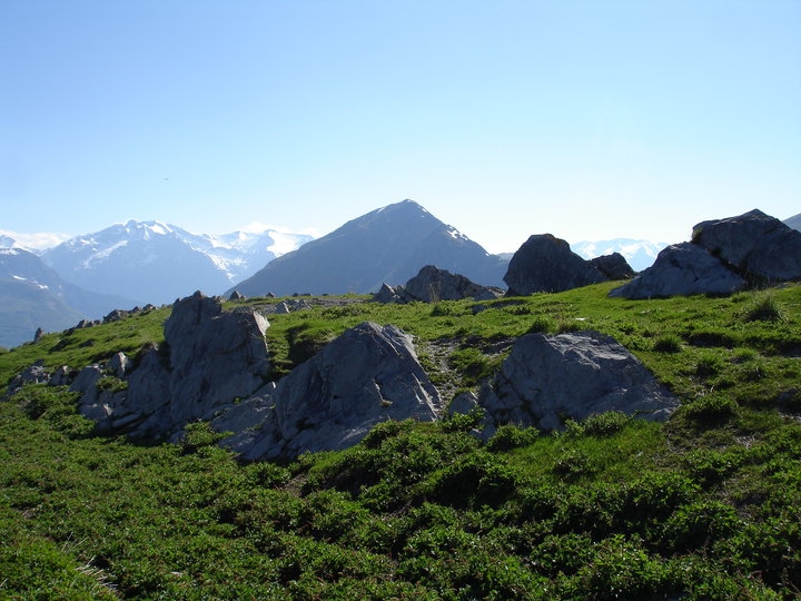 Французские Альпы летом: plateau des Emparis, рай на земле.