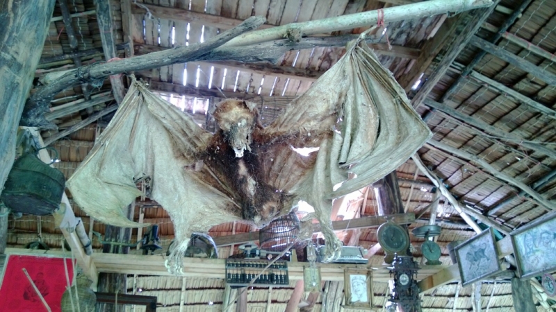 Банкок-Краби. Банкок-Канчанабури-Аюттая-Краби