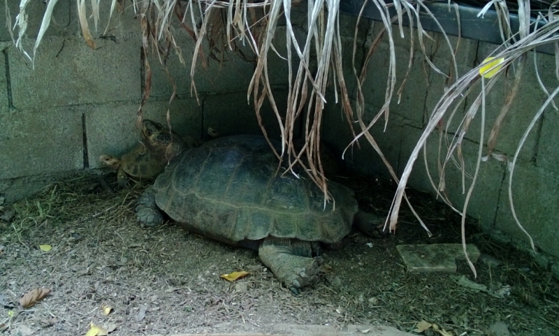 Банкок-Краби. Банкок-Канчанабури-Аюттая-Краби