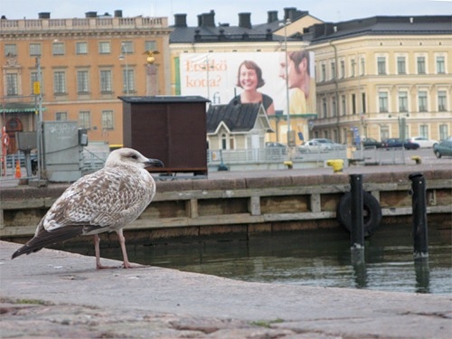 5 часов в Хельсинки