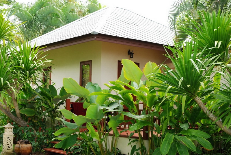 Самуи + Тао (сентябрь 2013) - ФОТО